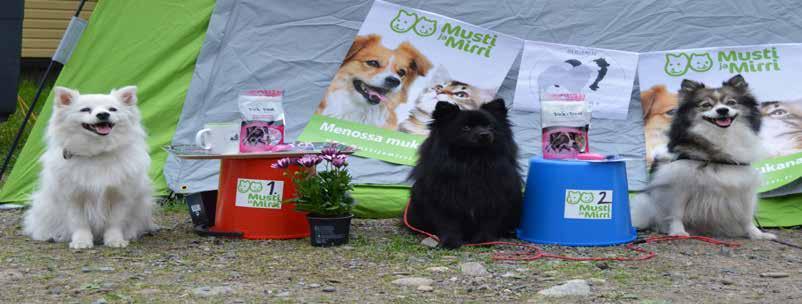 Voittajaluokan mittelit 1. Jenni Penni am Jungfernbach, Auli Isonoro 123,5 RTK3 2. Mintgarden s Magnanese, Mervi Polameri 84p 3.