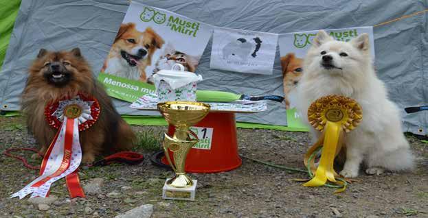 Mitteleiden rallytokon rotumestaruus 2016 1.