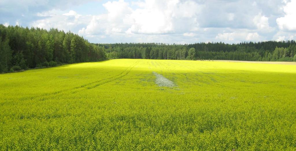 Ruiskutusvirhe Galeralla