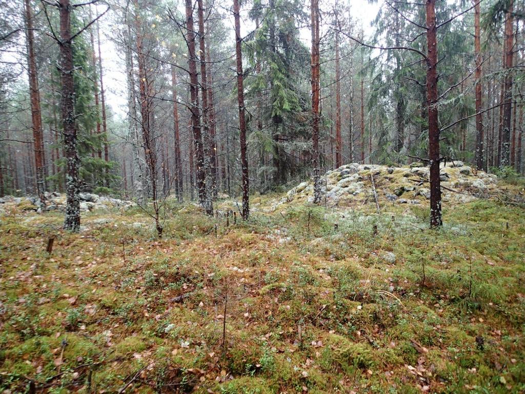 1 Pori Ahlaisten tuulivoimapuiston sekä voimajohtolinjan
