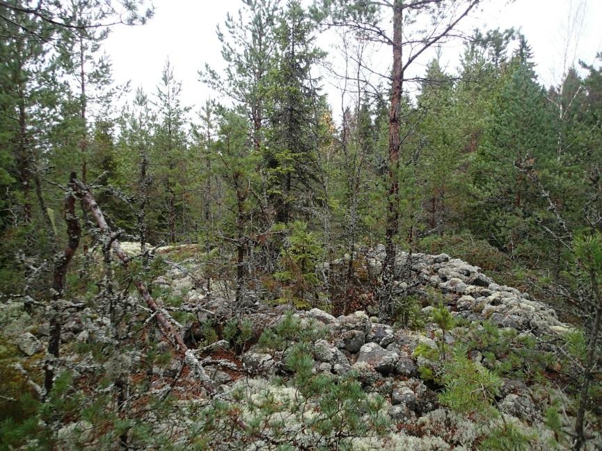 11 Röykkiö 1 kuvattuna