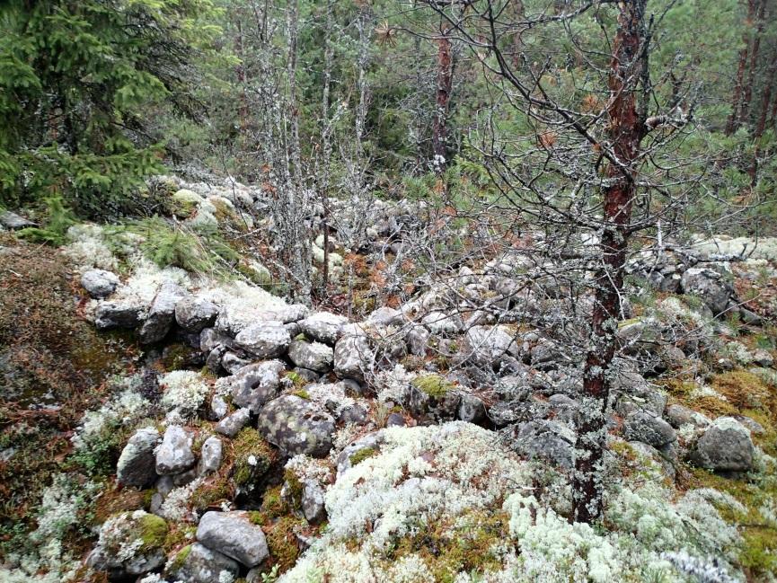Röykkiön 1 keskellä oleva