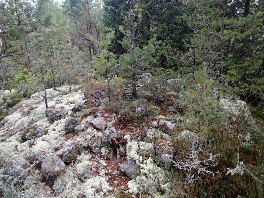 röykkiön alla olevaan
