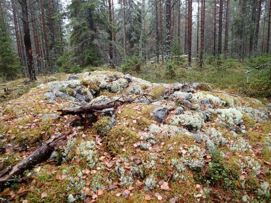 Itäinen valli kuvattuna eteläkaakkoon.