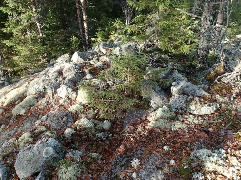 18 Röykkiön kiveystä kuvattuna luoteeseen.