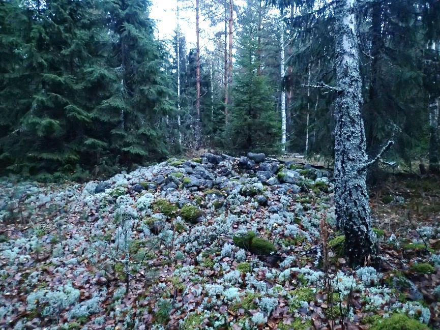 19 Huomiot: Muinaisjäännösrekisteri: Röykkiö sijaitsee Ahlaisten Lampissa, vt. 8:lta erkaantuvan metsäautotienvarressa, tien pohjoispuolella kivikkoisen mäenkumpareen päällä.