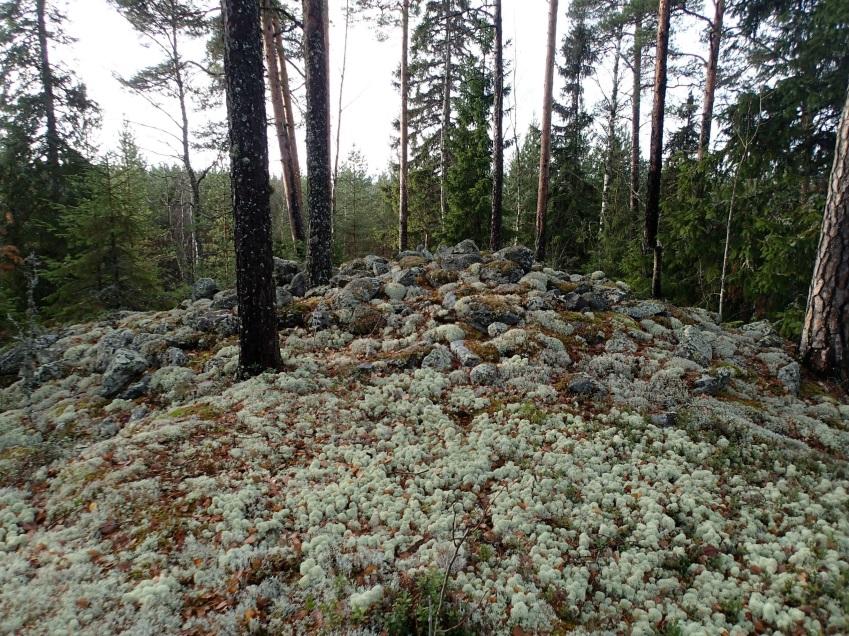 23 Röykkiö kuvattuna kalliokumpareen itäreunalta länteen. Röykkiön kiveystä kuvattuna koilliseen.