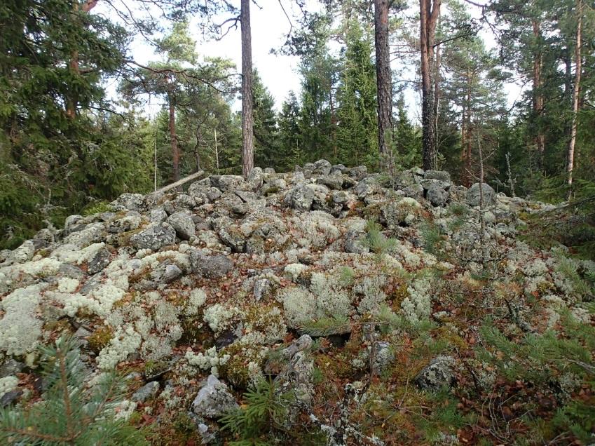 tyyppi: (kivirakenteet: röykkiöt) ei rakenteita Ajoitus: (varhaismetallikautinen) ei ajoitusta Koordin: N: 6851 317 E: