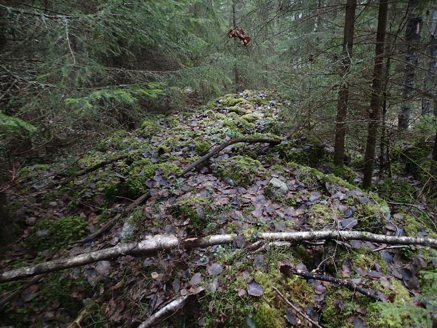 Rakennuksen perustuksen lounaispuolella olevan raivatun