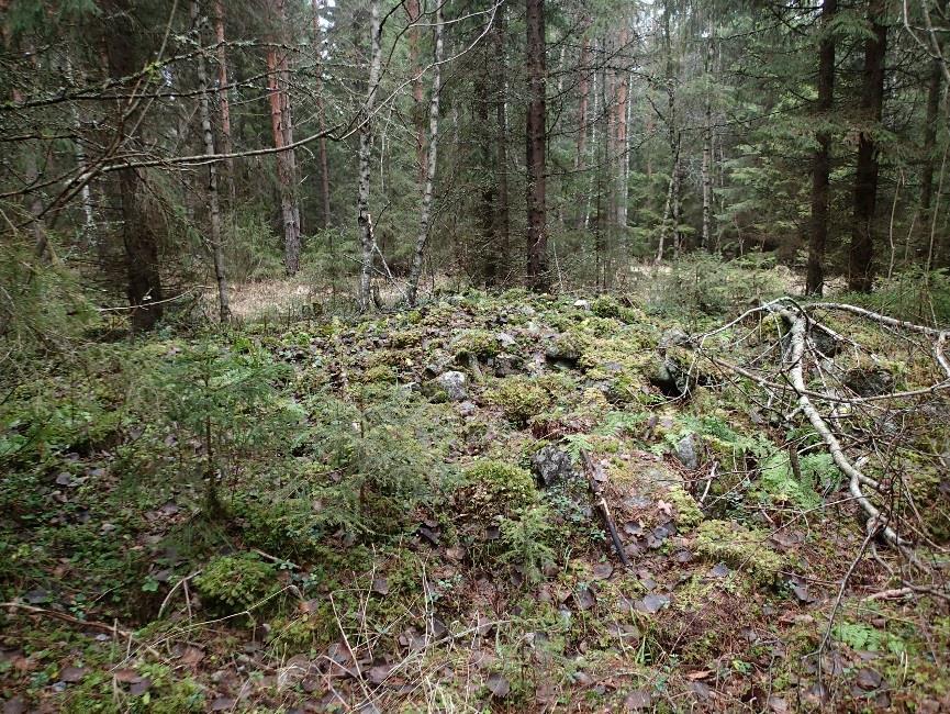 kivivalli. Kuvattu länteen.
