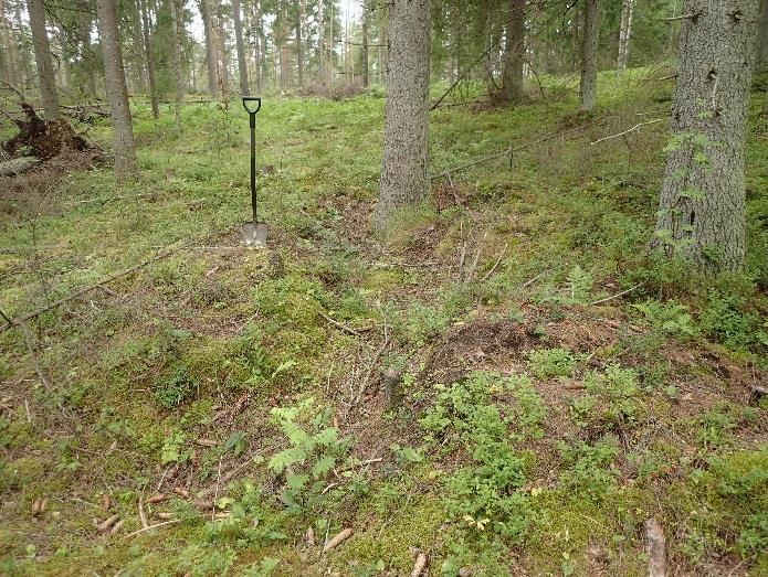 Tarkastelin aluetta myös maanmittauslaitoksen laserkeilausaineistosta laaditun maastomallin (viistovalovarjoste) avulla, mutta mitään arkeologin kannalta erityistä en siinä havainnut ja jotkin