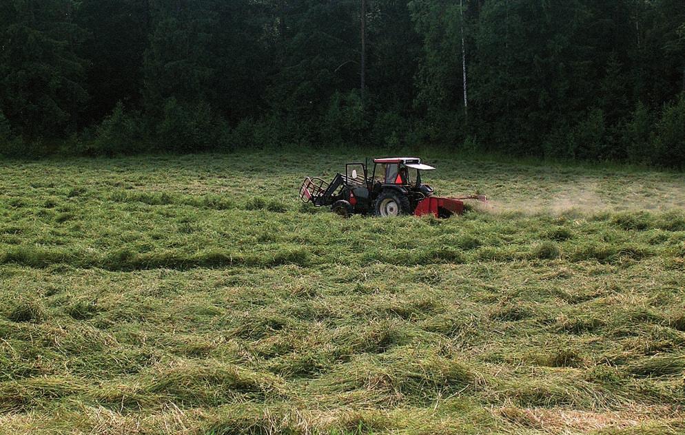 HEINÄPIIKIT KETJUHARAVAN PIIKKI Farendlöse