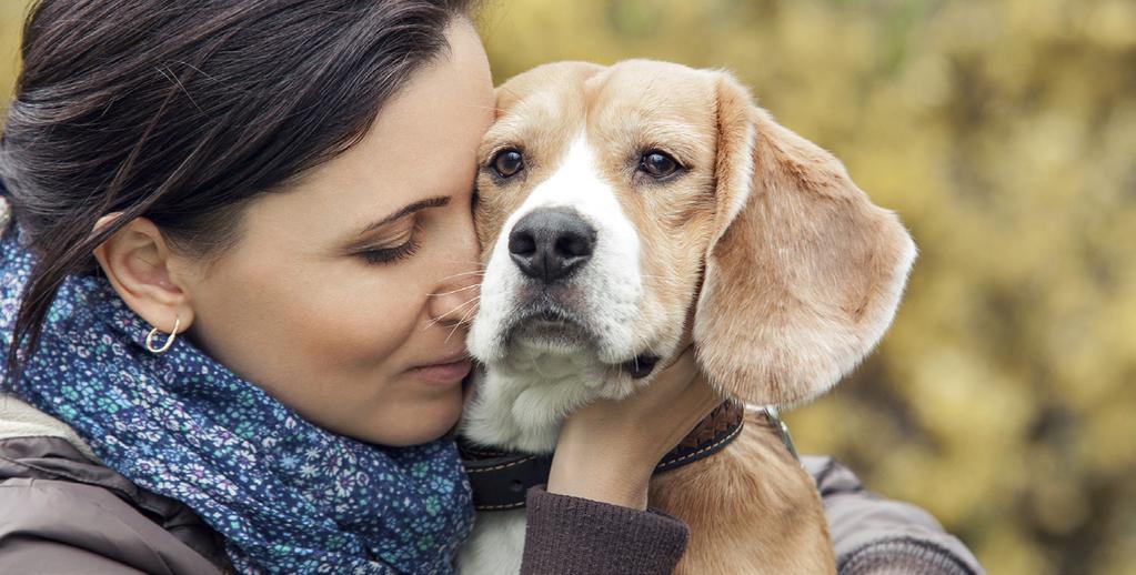Kattavin turva koirallesi Agria Koirarotuvakuutus Agria Koirarotuvakuutus on hoitokuluvakuutus, jonka sisältö on räätälöity koiran rodun mukaan.