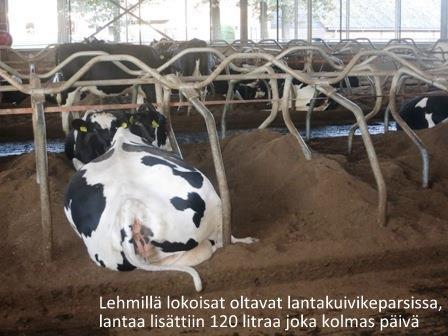 Reissulle osallistui yli 50 opintomatkailijaa eri puolelta Suomea. Maanantai 10.