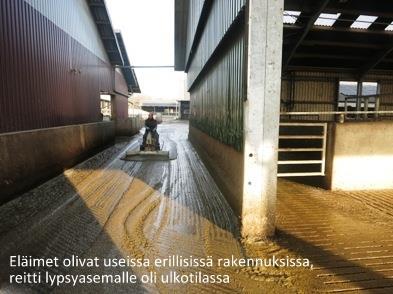 Keskiviikkona iltapäivästä viimeisenä tilavierailukohteena oli Saksan Bockhorstissa sijaitseva Gerhard Witten perheen tila, jossa oli lypsyssä 1500 lehmää. Tilalla on myös oma biokaasulaitos.