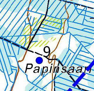 Turbiinipaikka 9 Kasvillisuuskuvaus: Mustikkatyypin (MT) tuoretta ja puolukkatyypin (VT) kuivahkoa mäntykangasta, jossa puuston keskipituus on 12 16