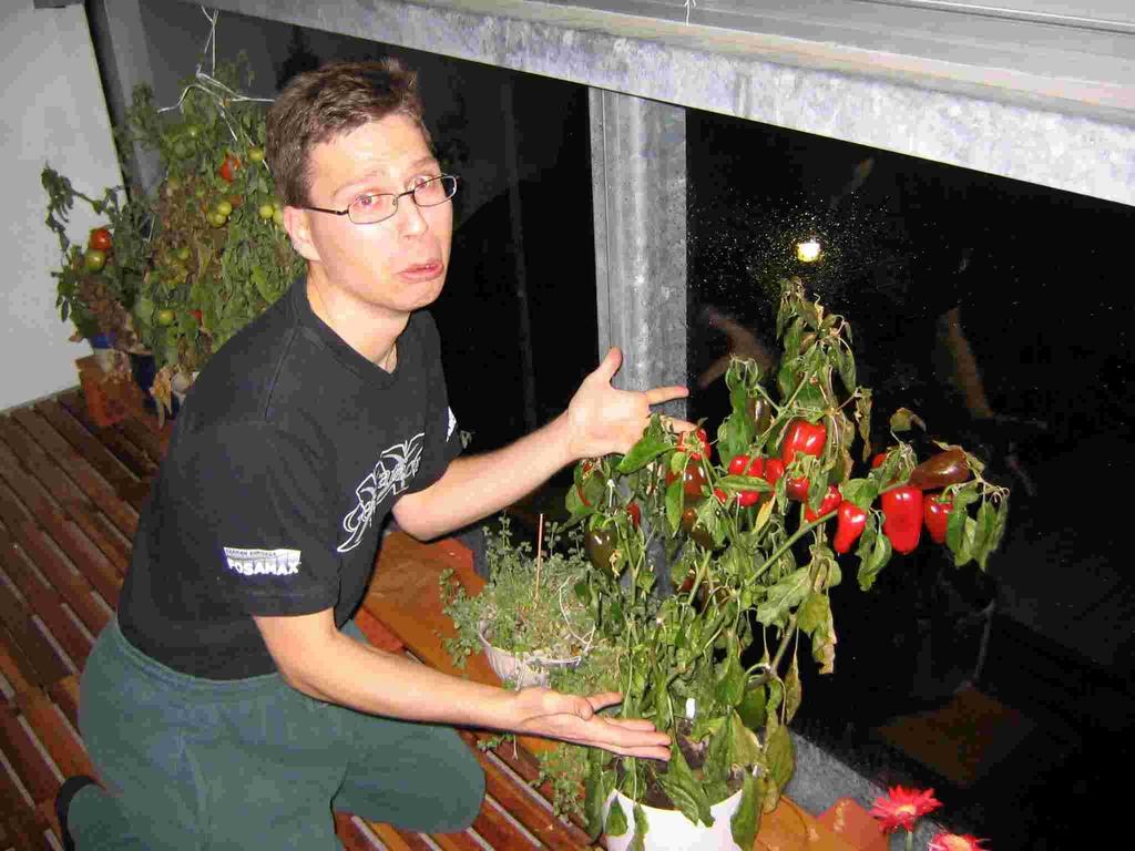 Nyt tiedän: paprika