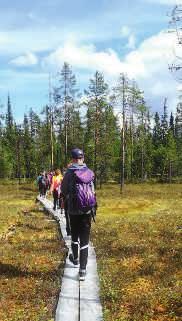 Pihapiiristä löytyvät kota ja rantasauna, josta voit pulahtaa