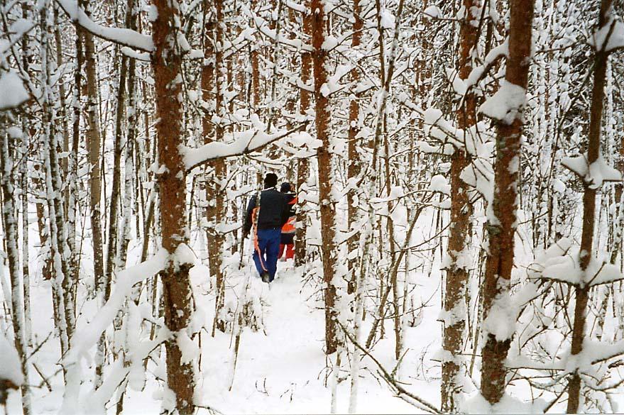 Kaikki valokuvat Metsäteho Oy