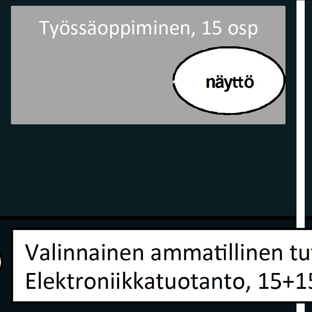 Pakollinen ammatillinen tutkinnon osa, Ammattielektroniikka, 30 osp