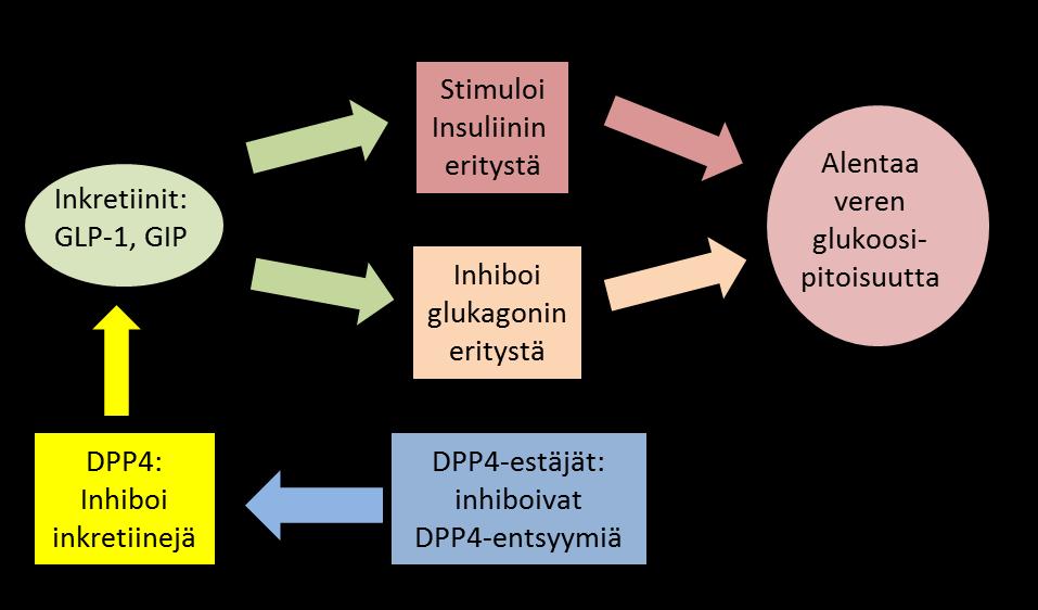 Diabetes ja DPP4-estäjät Diabetes on ryhmä aineenvaihduntasairauksia, joita yhdistää häiriö haiman insuliinintuotannossa ja pitkäaikaisesti kohonnut verensokeri (veriplasman glukoosipitoisuus)