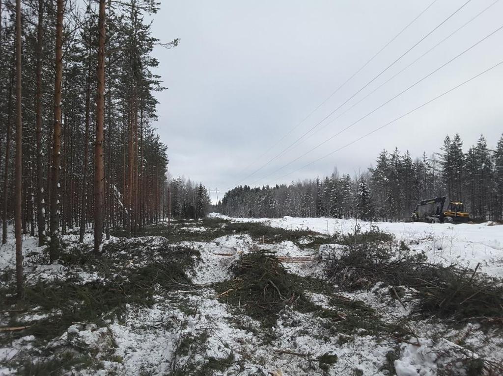 Kasvustonkäsittely 2017 Raivaus tilatuista töistä toteutui 97% vuoden