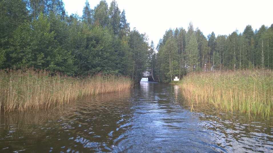 Uusi Papinoja ja sen silta lännestä kuvattuna; mitattu aukon leveys n. 4 m ja mitattu alikulkukorkeus 1,2 m (HW N 60 +75,80 m).