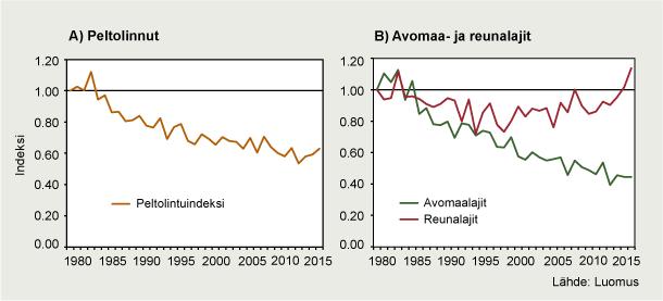 Mitä Suomen peltolinnuille kuuluu muuttuneessa maatalousympäristössä?