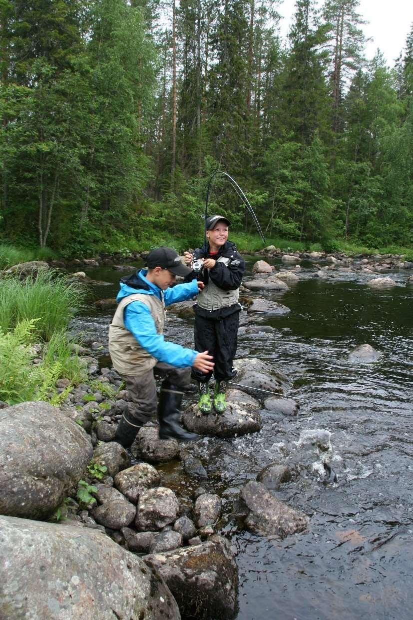 Kokemuksia saalistiedon keräämisestä Tuikki.