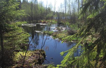 Kesällä 2017 testattiin erilaisia nurmelle levitettäviä fosforia sitovia yhdisteitä ja materiaaleja pintavaluntasimulaattorin avulla. Suomessa n.