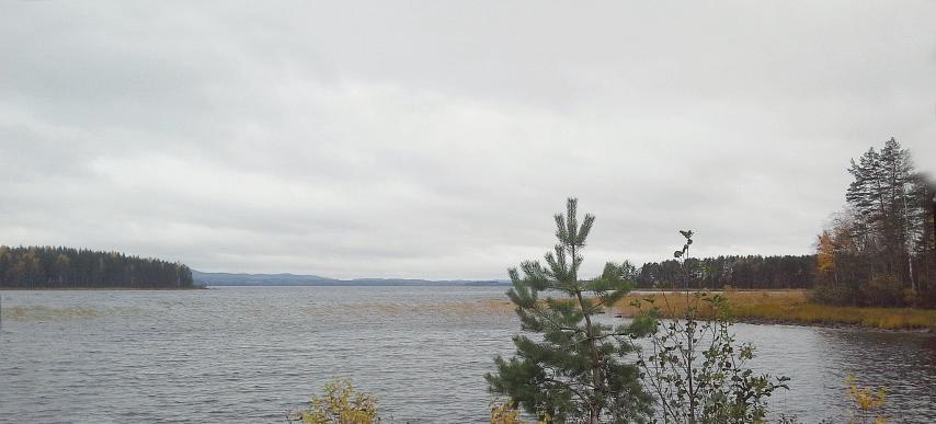 Koeasetelma: Kuusi potentiaalista fosforia sitovaa ainetta levitettiin nurmen pintaan toisen niiton jälkeen ja annettiin vaikuttaa 24 päivää, jonka jälkeen nurmilaatat leikattiin,