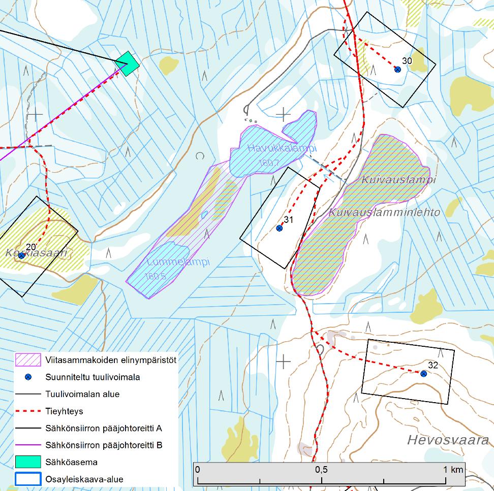 Kuva 4-6. Viitasammakoiden lisääntymisalueet Kuivauslammen, Lummelammen ja Havukkalammen alueella. 5.