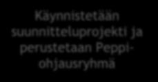 Peppi käyttöönottoprojektin