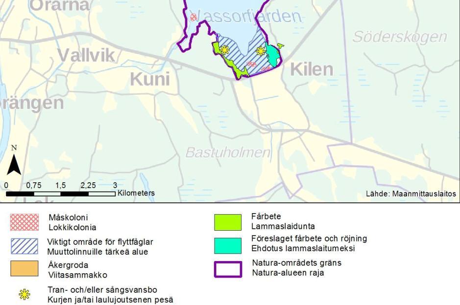Parhaimmissa kutulahdissa saattaa olla kymmeniä viitasammakkoja äänessä.