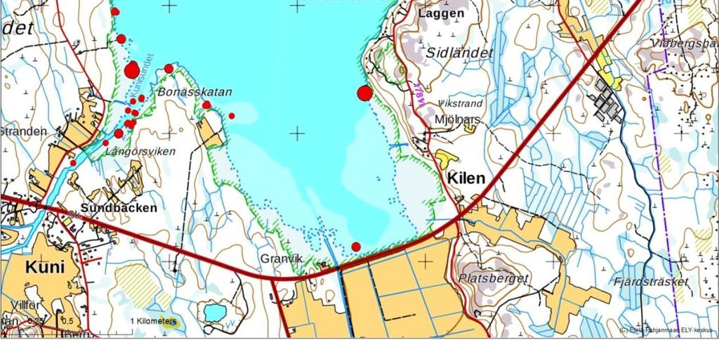 5 Kalasto ja kalastus Kalaston nykytila Kyrönjoen suistoalueen kalasto on monipuolinen, sillä sieltä on löydettävissä yhteensä noin 60 eri kalalajia.
