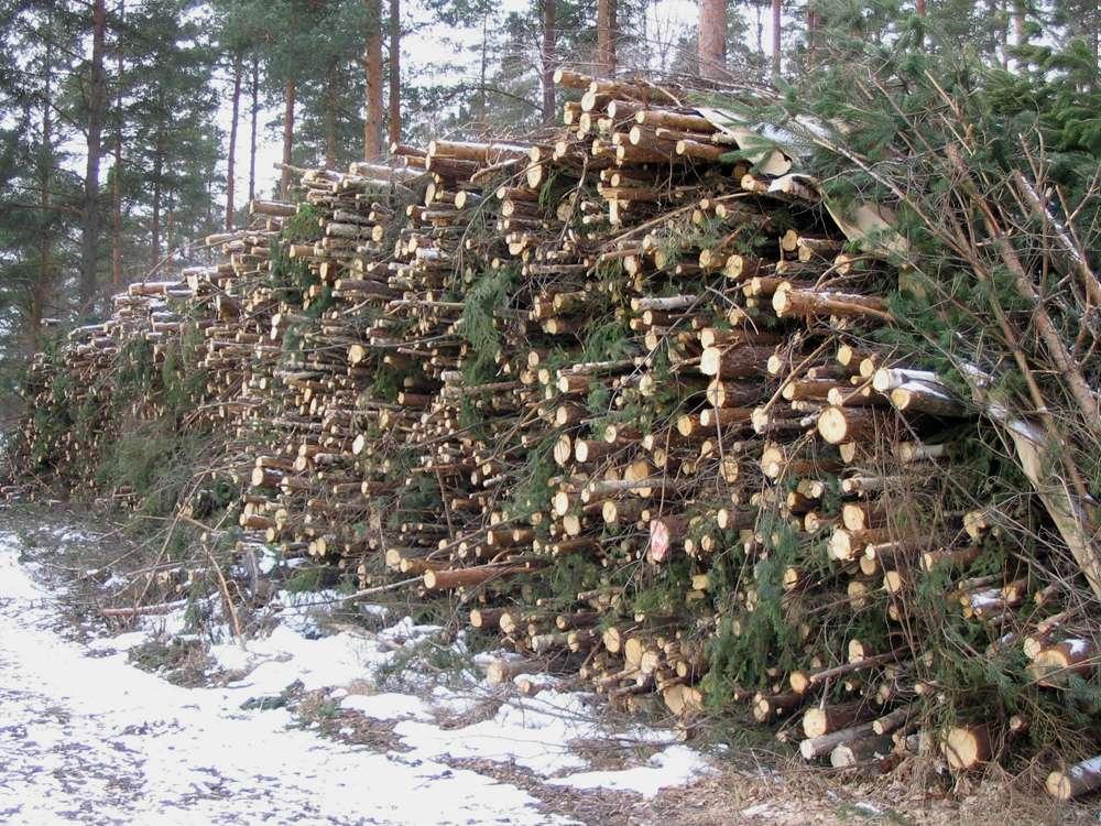 Pienpuuhakkeen tuotantoketjujen