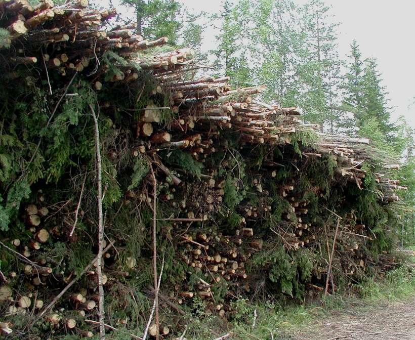 Pienpuuhakkeen tuotantoketjujen