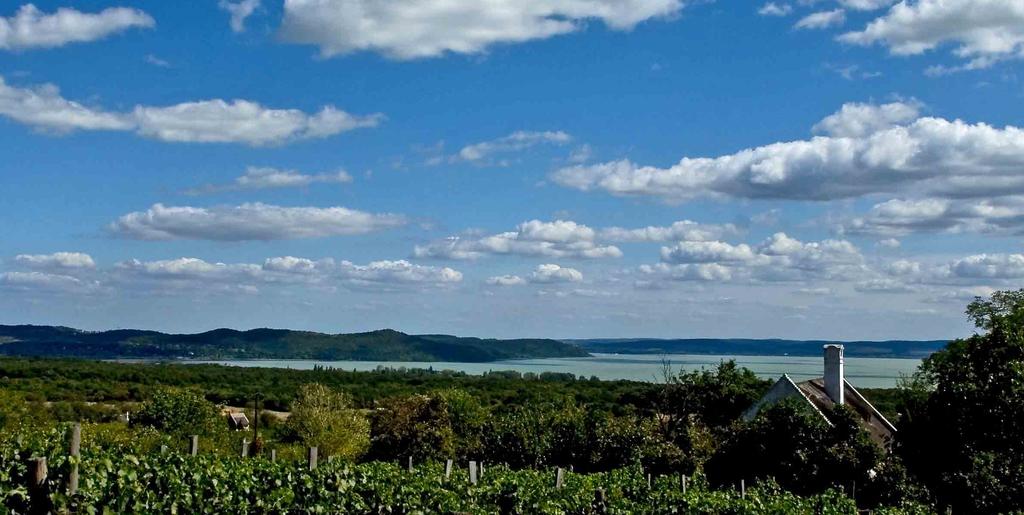 Balaton patikointia