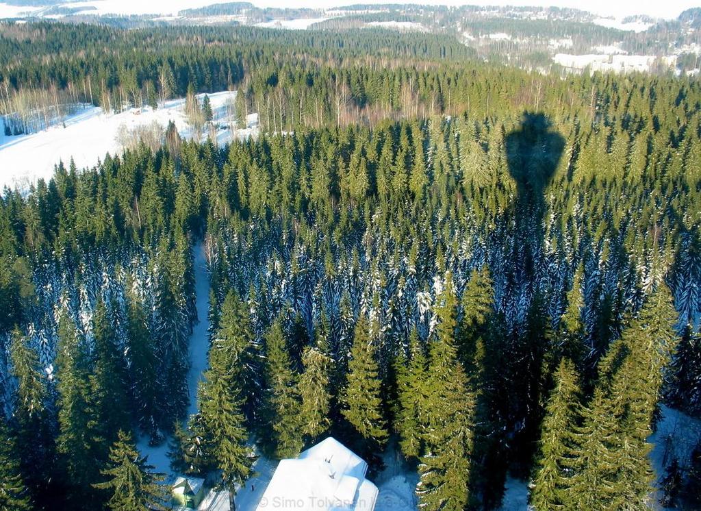 Maaperän pintakerros on turvemainen pintahumus, jossa on sienihyyfejä. Sen tyypillisin maalaji on moreeni, joka on peräisin viime jääkaudelta.