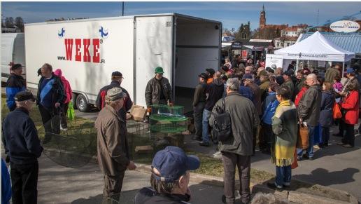 Lapsille oli norppa-aiheista puuhaa.