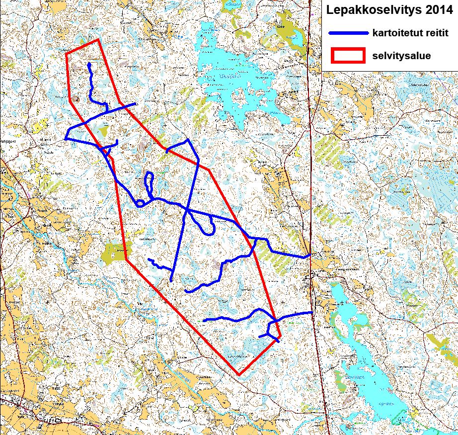 Lepakoita ei aina pystytä määrittämään lajilleen ääni- ja näköhavaintojen perusteella.