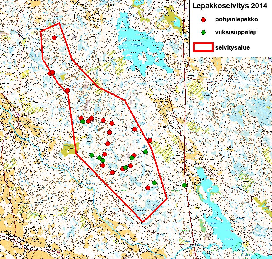 6. Tulokset 6.1 Lajisto ja havaintomäärät Selvitysalueella tehtiin havaintoja kolmesta lepakkolajista: pohjanlepakosta, viiksi- /isoviiksisiipasta (laskettu yhdeksi lajiksi) ja pikkulepakosta.