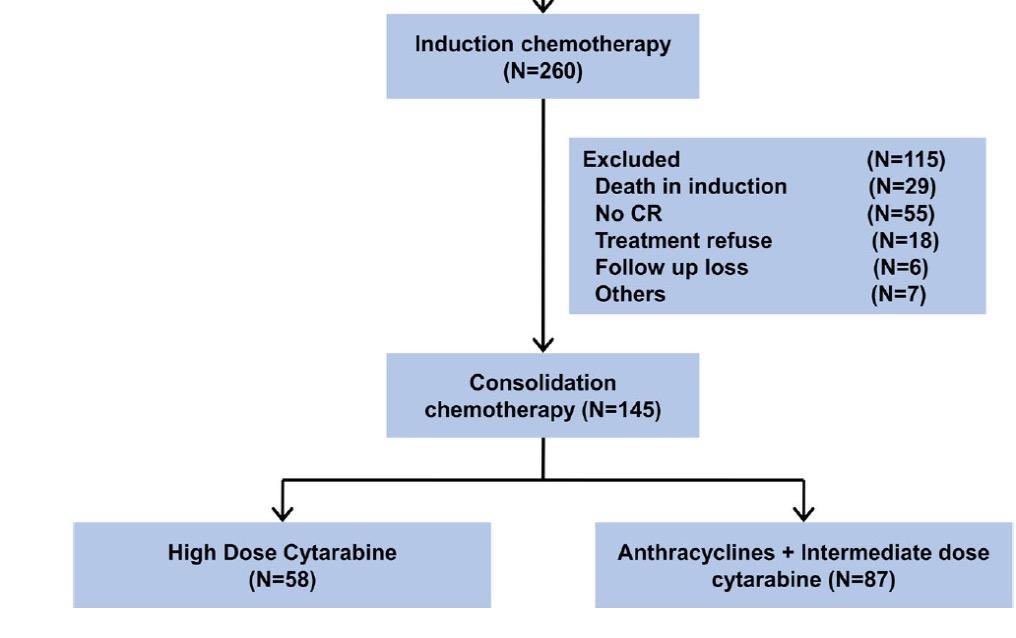 7% Age 17-74 years Cytogenetic risk Favorable 19% Intermed 69% Poor 11% 3-4 cycles in