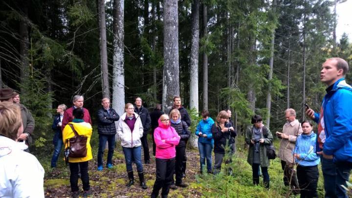 Monimuotoisuus talousmetsissä Pääosa metsistä on talousmetsiä. Luonnon monimuotoisuuden huomioinen on tehokkainta talousmetsien hoidossa.