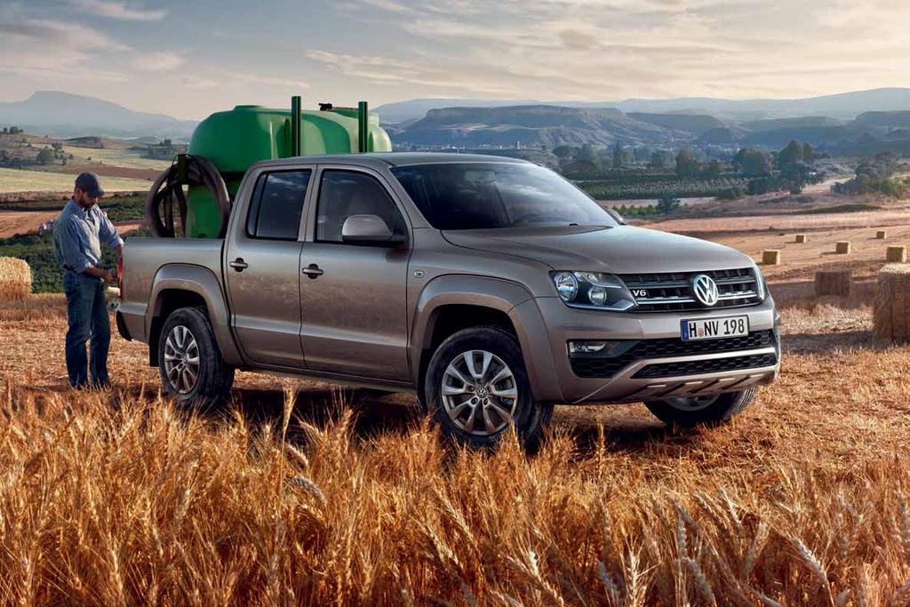 Amarok 33