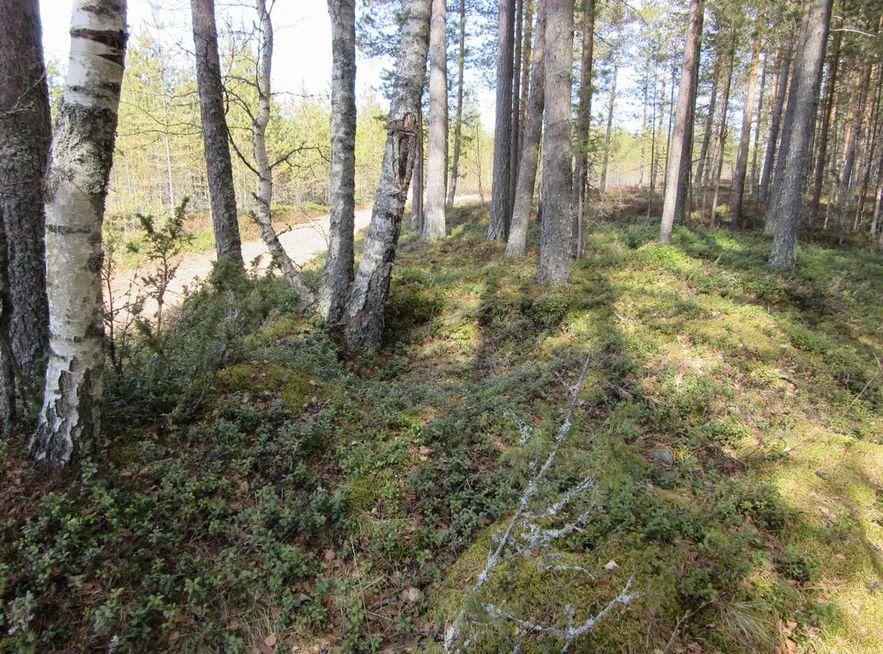 13 Rakennuksen pohja