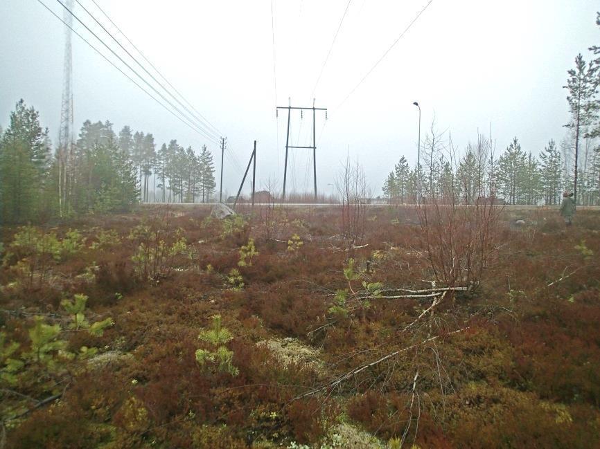 eteläpuolista harjua, pohjoiseen.