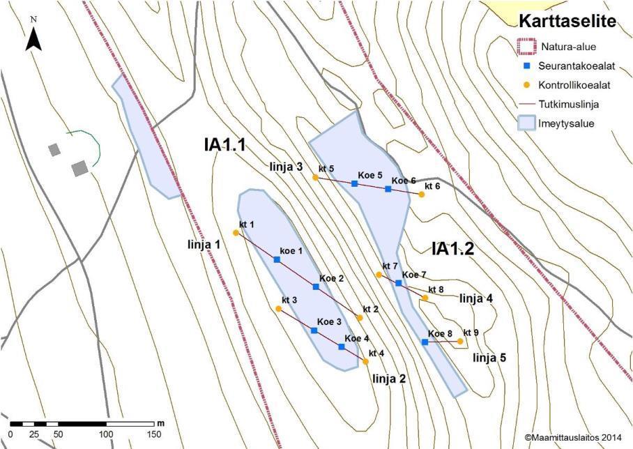 FCG Suunnittelu ja tekniikka Oy Natura-arvioinnin täydennys 116 (132) Kuva 83. Esitys seurantatutkimuslinjojen ja -koealojen sijainnista imeytysalueilla IA 1.1 ja IA 1.2. 8.1.2 Punamultalukon suppasuo Punamultalukon suppasuolle perustetaan kasvillisuusseurantaverkosto.