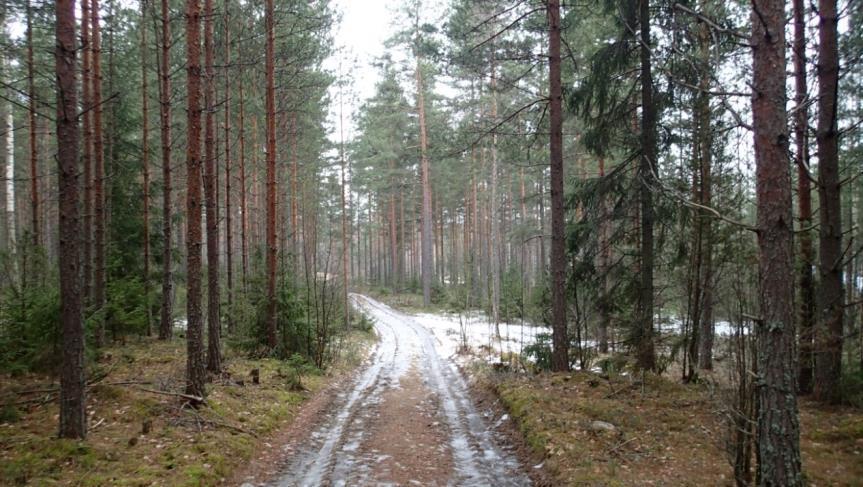 samoin siirtolinjat imeytysalueelle IA 1.1 ja IA 1.2. Ilmakuvaotos on linjan eteläosalta. Kuva 39.