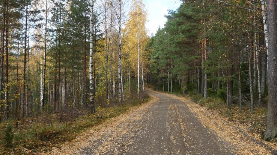 FCG Suunnittelu ja tekniikka Oy Natura-arvioinnin täydennys 61 (132) Kuva 43. Varalantie. Siirtopumppaamolta itään lähtevä putkilinja sijoitetaan tien alle.